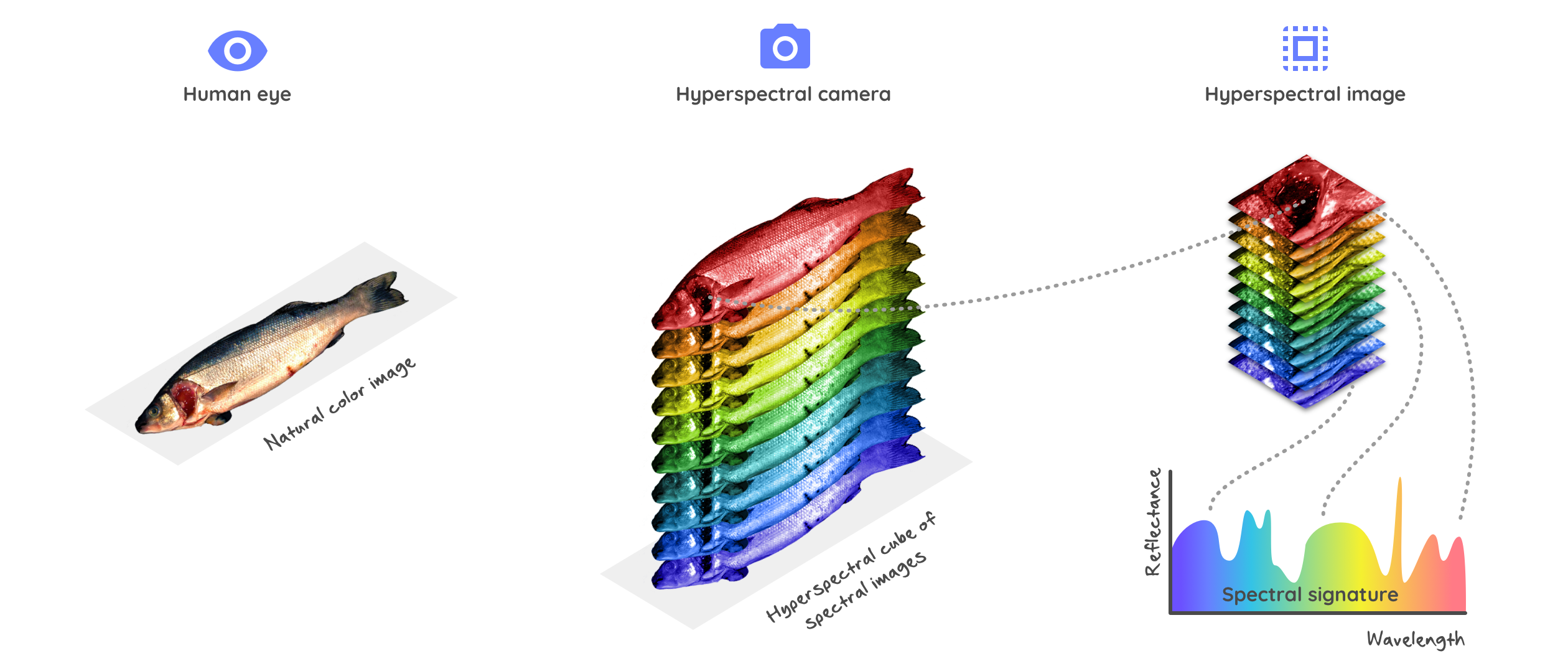 Hyperspectral Imaging Cameras