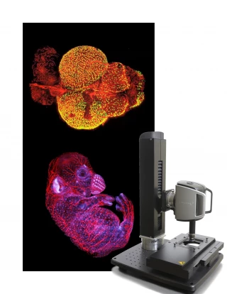 RS-G4: Upright Research Confocal Microscope